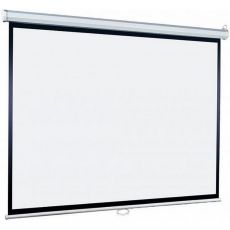 Экран для проектора Lumien Eco Picture LEP-100110 настенно-потолочный